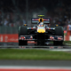 Illustration for article titled 2009 British Grand Prix: Mega-Gallery
